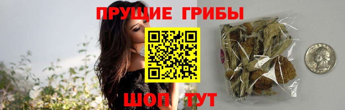 Псилоцибиновые грибы мухоморы Всеволожск